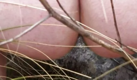 Bebek çük video seks xxl kız Asyalı boğaz