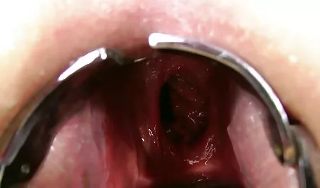 1 çift misyoner 8 tube seks seks