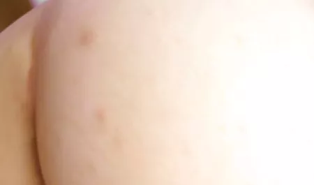 İki rahat ve seks tube tv Terbiyesiz öğrenciler! Seks partileri ve eşek