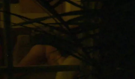 Rocco movies seks porn siffredi genç